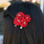 Strawberry Fields Forever 2 Red Hair Clips